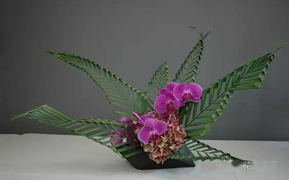 想测试一个花艺师会不会玩请给他一把叶子