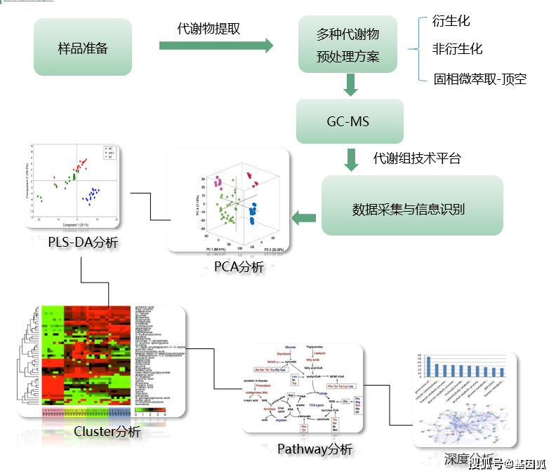 科普 | 靶向和非靶向性代谢组学分析技术简介_研究
