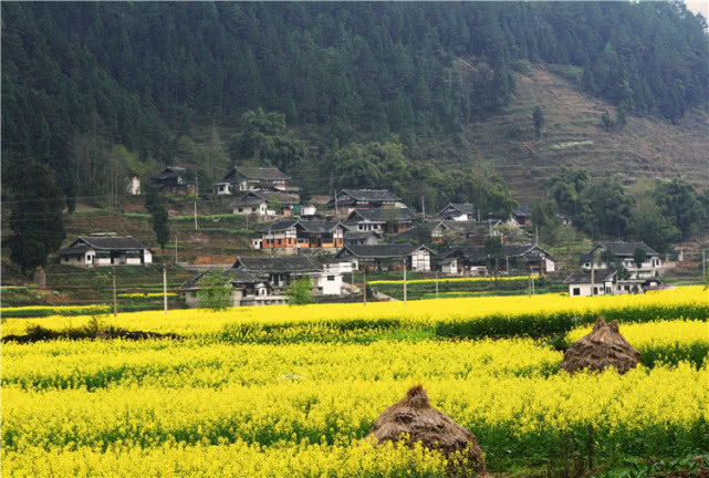 惊爆眼球丨贵州湄潭乡村旅游悄然长成最酷帅的样子