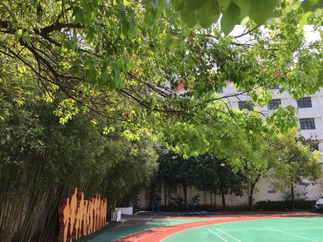 上海市震旦外国语中学