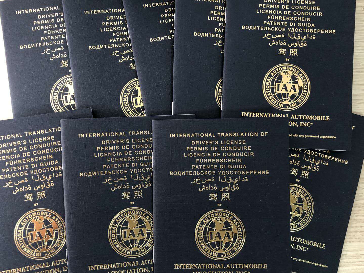 带着国际驾照,畅游北海道