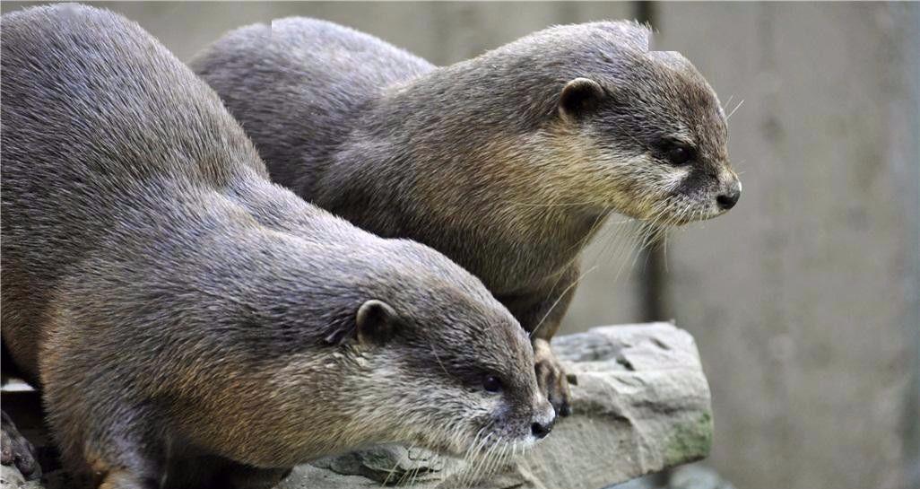 什么是善你的放过就是大善67