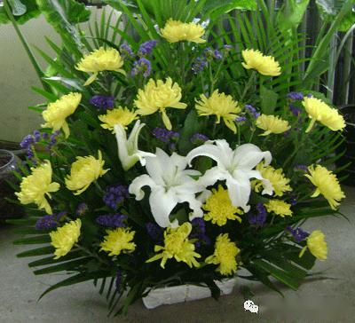 悼运河之子——刘祥先生|作者刘辉(文军)|朗诵荆棘