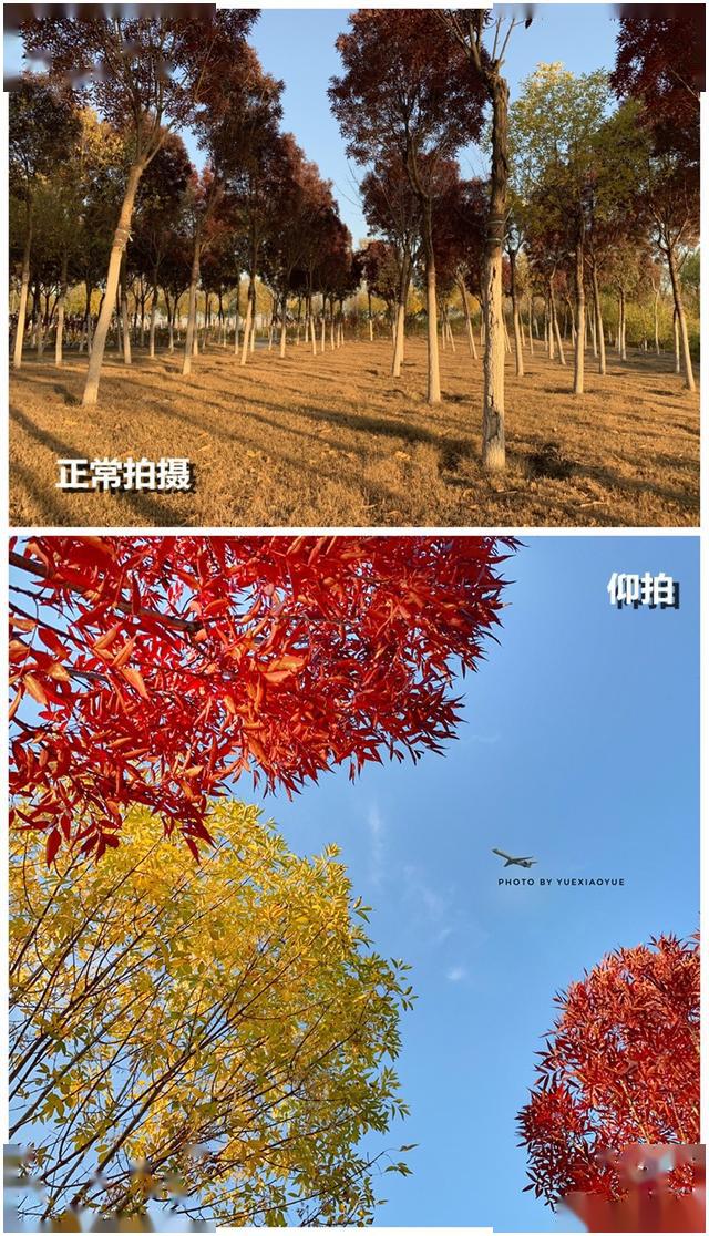 普通场景手机如何拍出新鲜感试试非正常拍摄