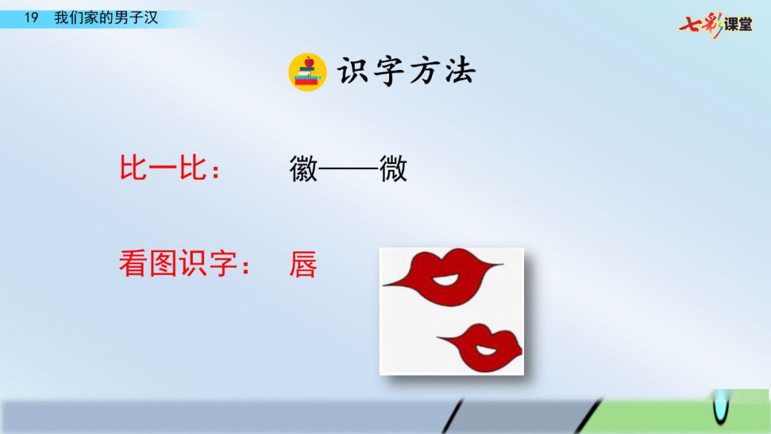 部编版四年级语文下册第20课我们家的男子汉知识点图文详解