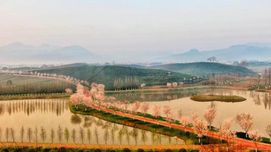 春光乍泄这里的乡野春色要藏不住了离杭州才1h高铁行程