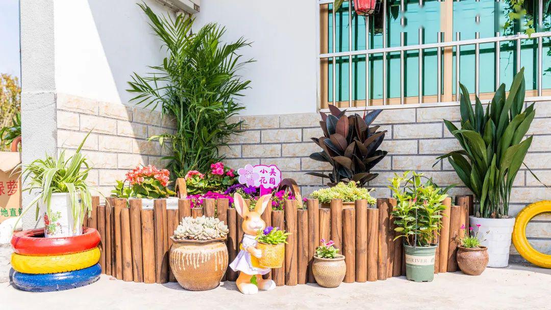 新埭72变 | 最是一年春好处,庭美院秀肖家村