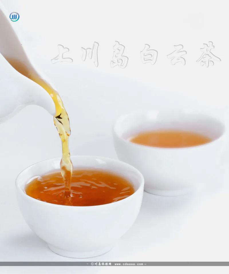 上川岛野生白云茶来自川岛馈赠之宝的醇香一代茶中绝品白云茶