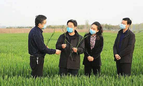 县委常委,办公室主任周俊伟,县政府副县长师艳芳一同调研.