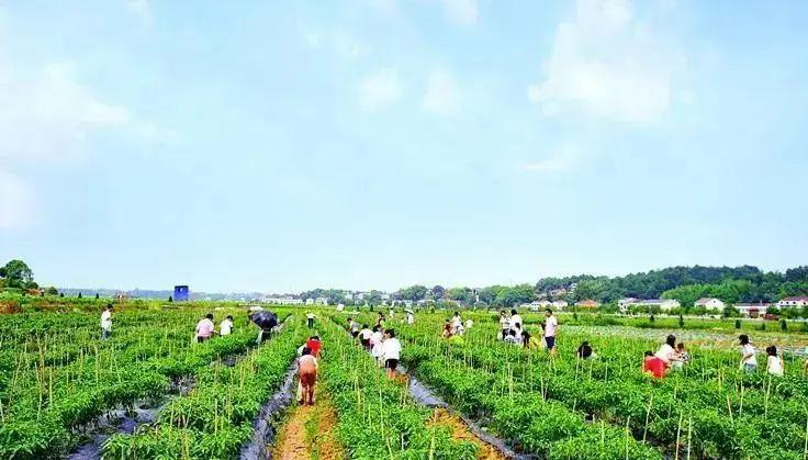 【自驾茴香小镇】入住原木别墅,体验如画乡野