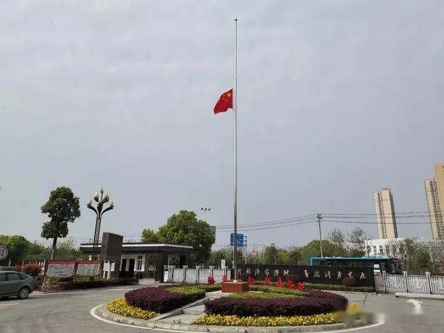 沙市七中开展清明节悼念和网祭英烈活动