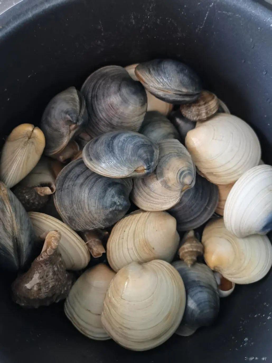 近郊自驾4月1112魏晋唐遗址得利寺山城龙潭山访古暨