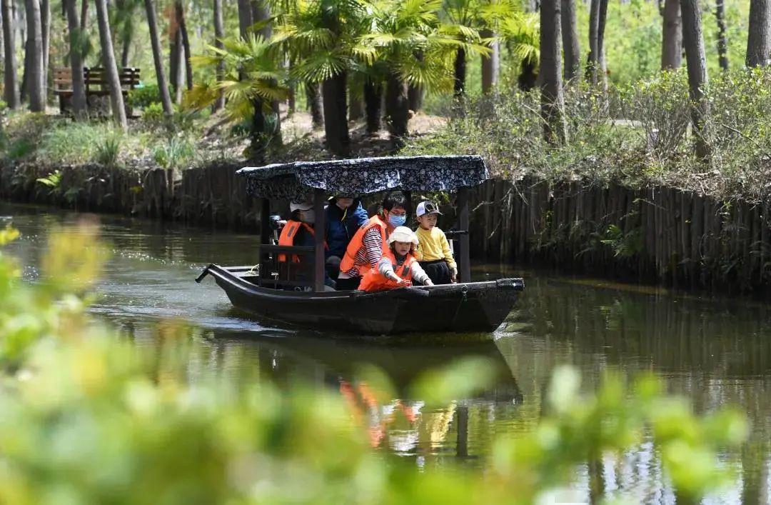 安徽合肥巢湖湖滨国家湿地公园(南淝河大桥至派河大桥间环湖大道南侧)