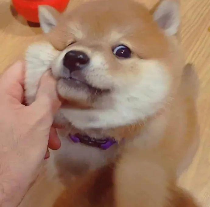 你成年的人格是被社会过滤过的儿童人格