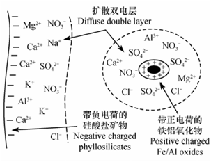 浅谈土壤胶体_电荷