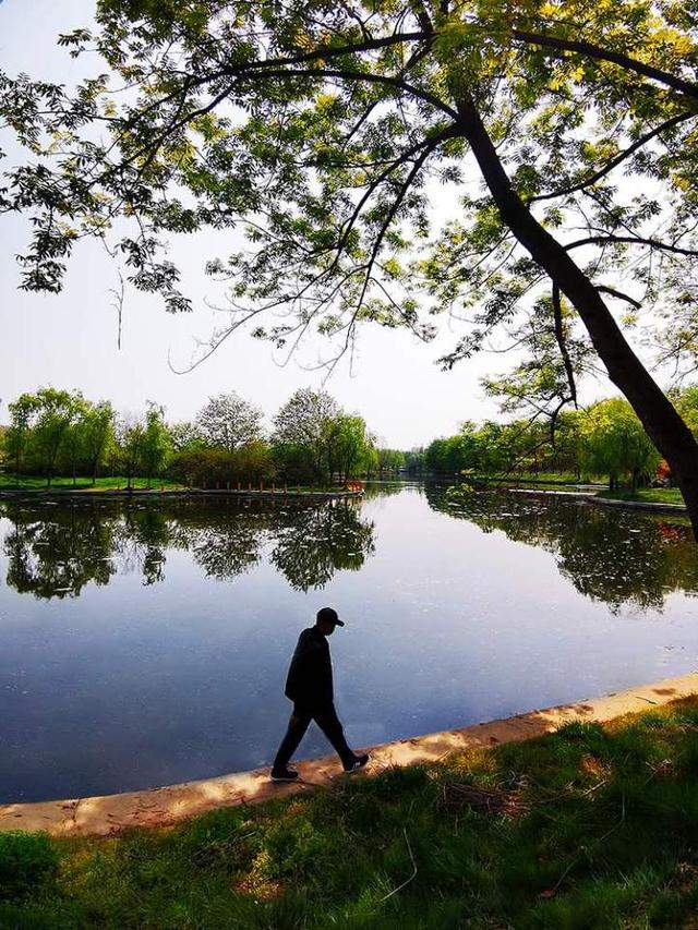 駐馬店重新開放的置地公園景色如此炫麗