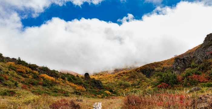 家电经销商转型工程服务商，今年会不会太晚了？-家电圈官网