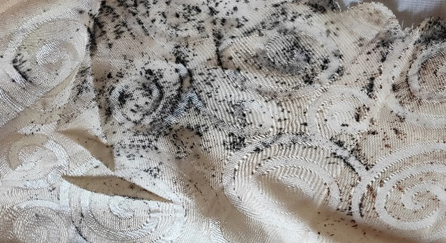 布艺窗帘发霉了还能拯救吗怎么处理不伤材质