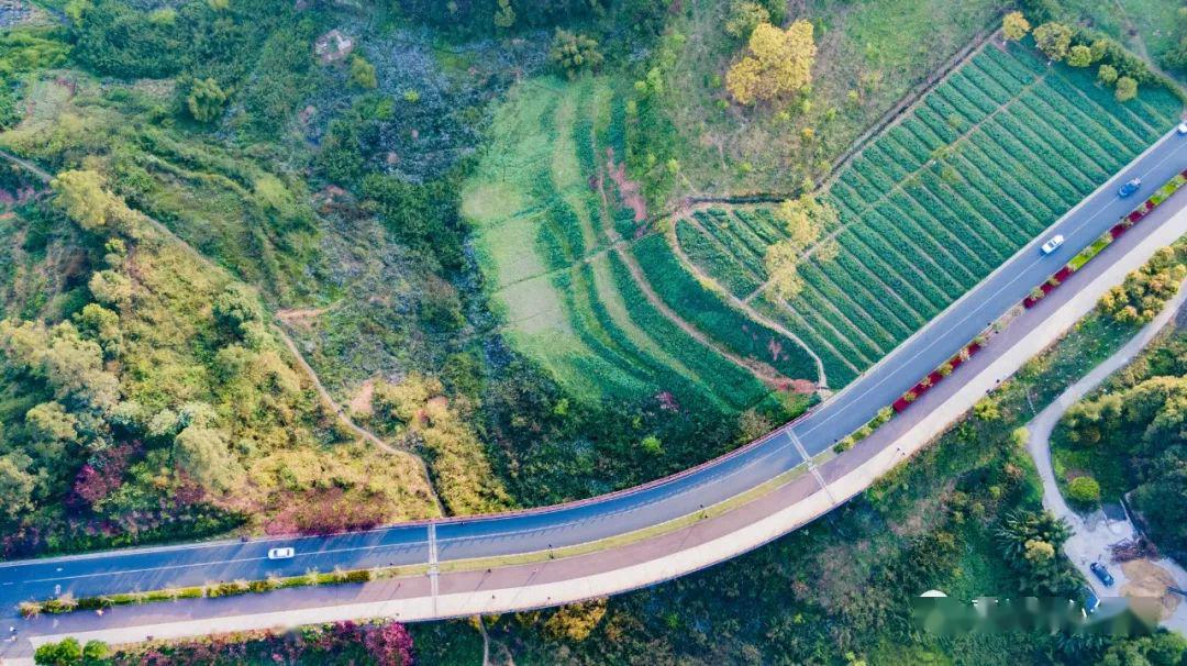 绿心大环庐山湿地,大环石龙花海,小环毛家湾特别提示:绿心公园内严禁