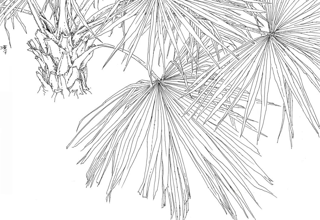 诗词日历雍明远苍山乏绿风轻春阳照枝头偶啭莺