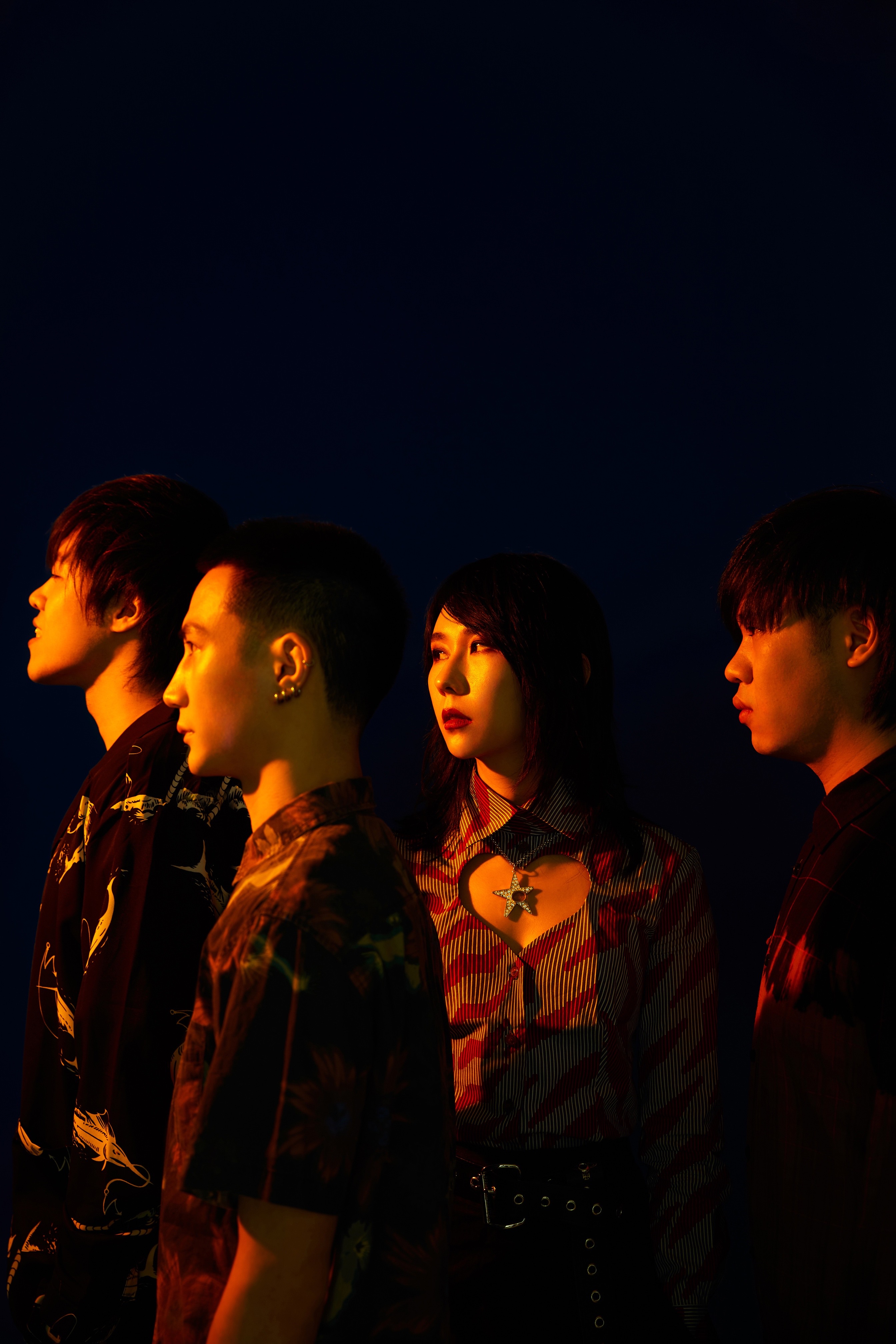 闪星乐队新单曲《白色大象》以及mv发布