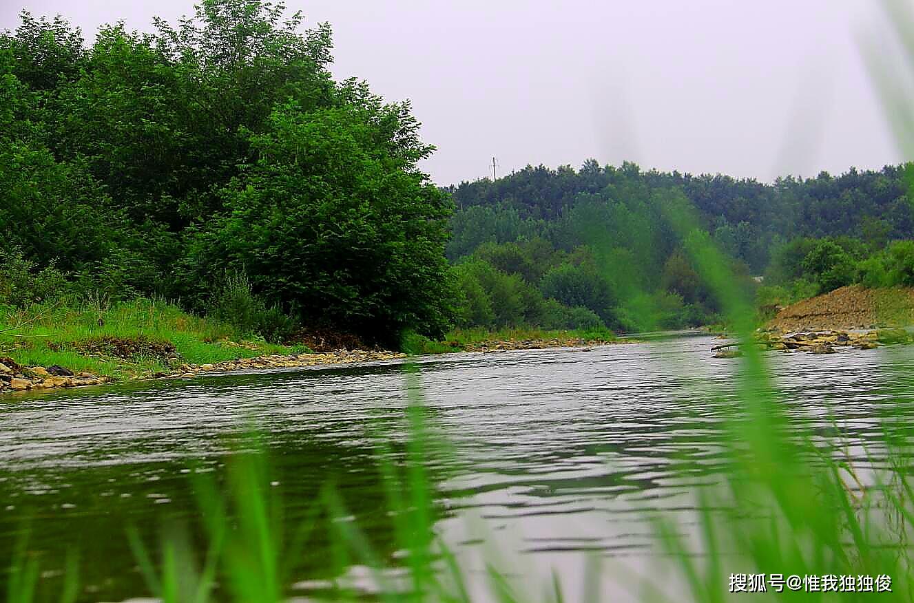 春风拂过,随州均河迎水段春光无限_河水