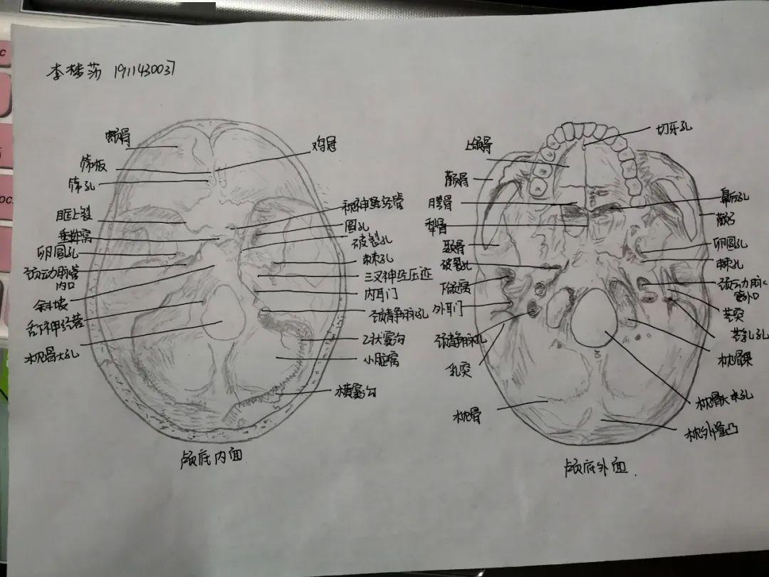 这个班的课堂笔记太不一样了