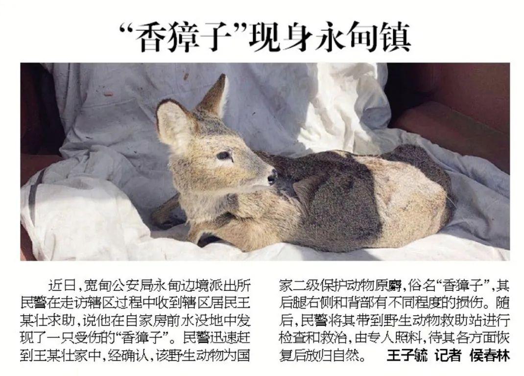 红色濒危物种!来头不小!_动物