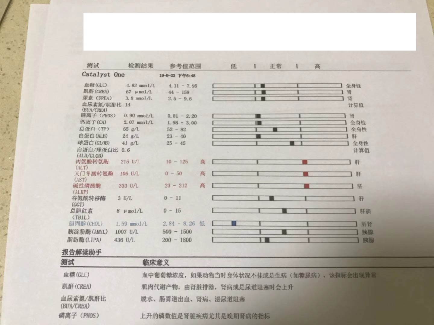 宠物|狗肝腹水了怎么办？