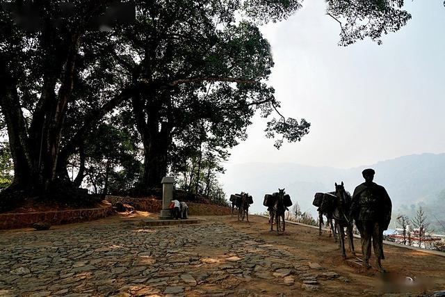 易武古镇,在传说中聆听茶马古道上的马蹄声_老街