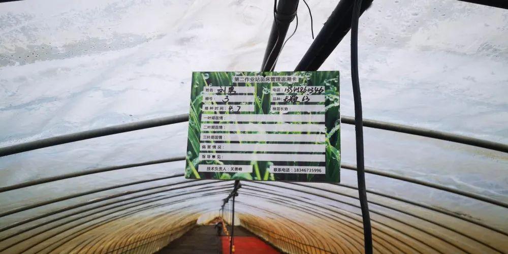 眼下,又是春播生产最佳时节,田间地头,放眼望去,种植户们正在忙着播种