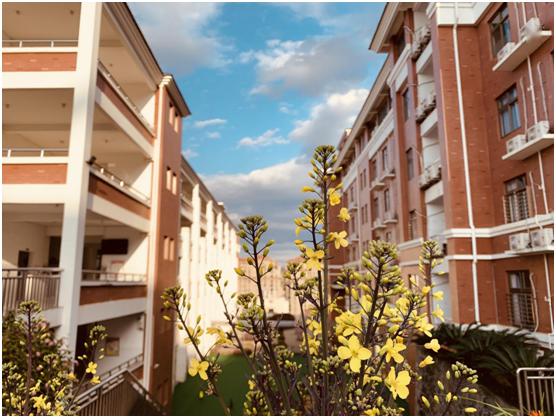 茂华学校为您私人定制的品牌学校福鼎市茂华学校小学部2020年招生问答