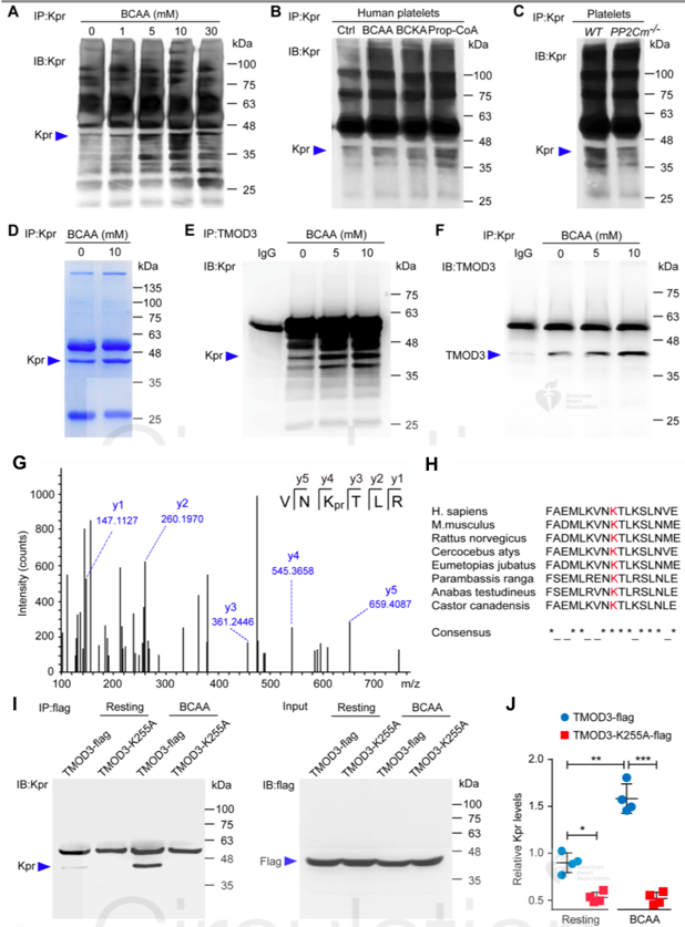 潜在作用,通过评估血小板活化标志物来测量t2dm患者血小板的激活水平