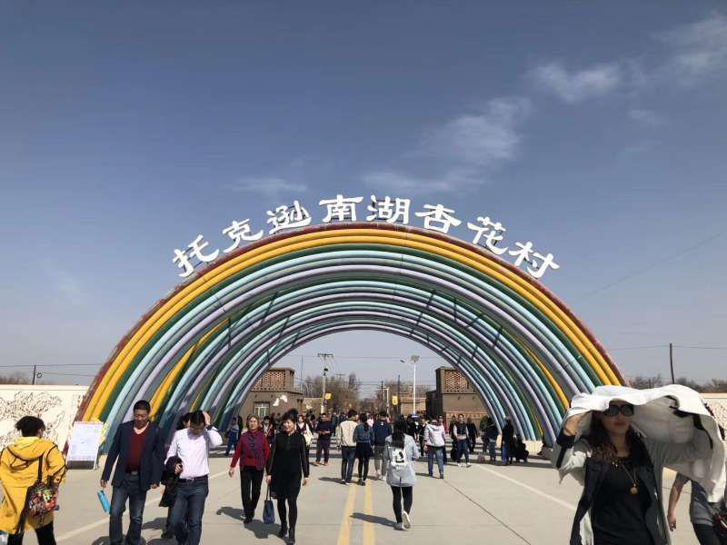 托克逊的杏花不等人新疆的美开始放大招了