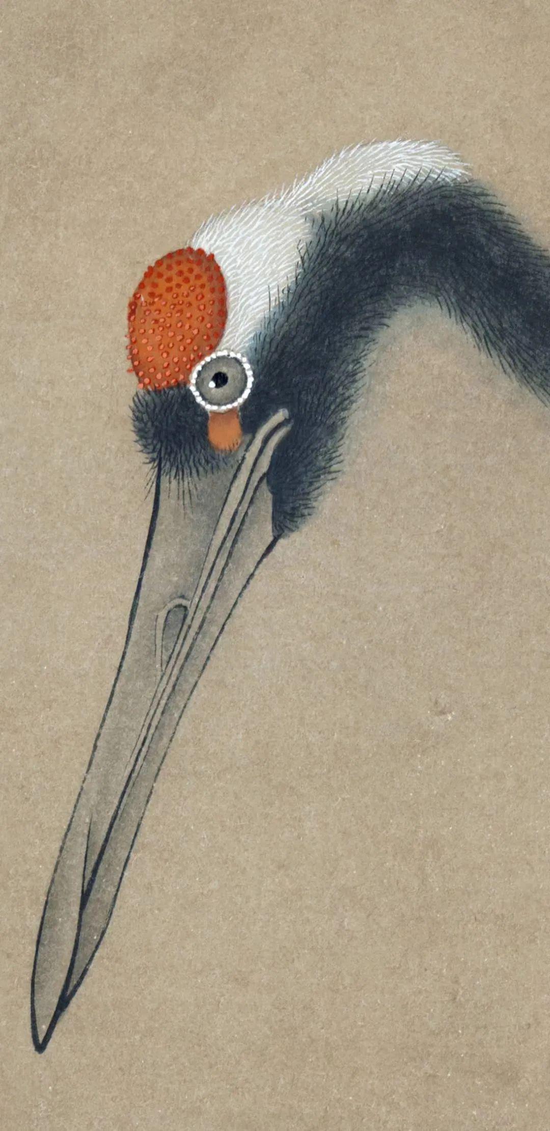 临明边景昭竹鹤图轴绘制步骤