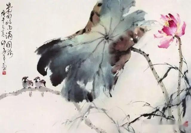 出淤泥而不染濯清涟而不妖一组最美国画荷花