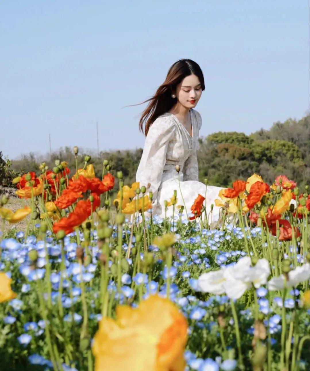 久违的春景芬芳的花路撩炸你的少女心