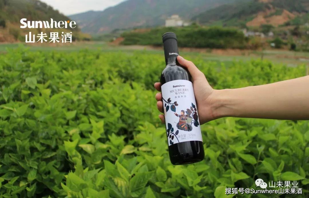 盐边县深入体验为每一瓶酒的质量层层把关让更多人品尝到桑葚果酒我们