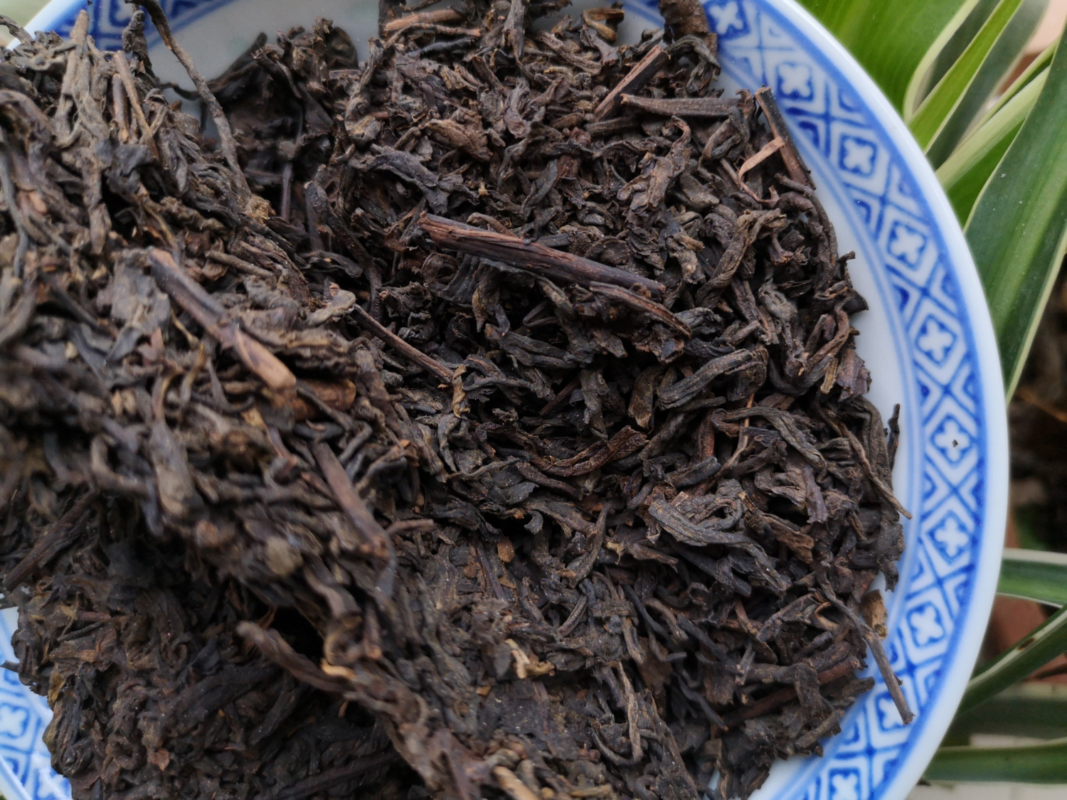 你是人间四月天醉是一壶金花六堡茶