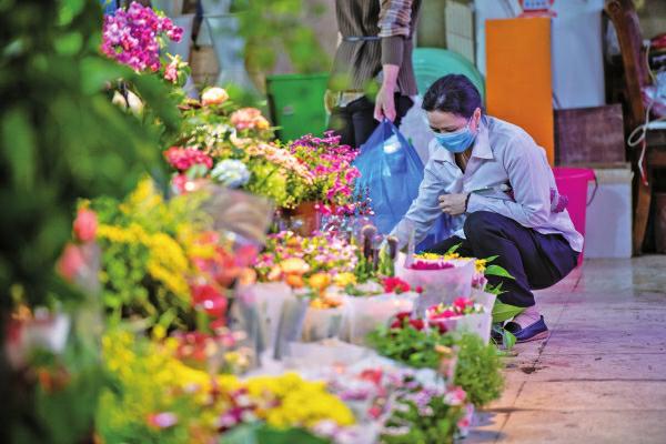 原创探访重庆九龙花鸟市场鱼龟花易购猫狗鸟难寻