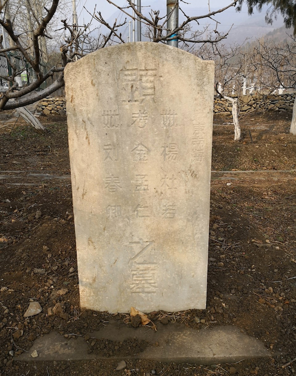 陈晓平:"超级间谍"金无怠家世考