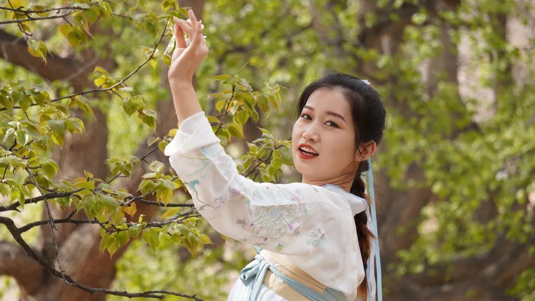 云赏中卫南长滩梨花开,今年中卫黄河梨花节独具看点!