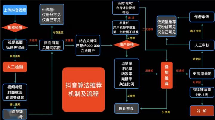 运营互动抖音的一个特别的算法的机制,在别人的地盘为自己吸粉,就一定