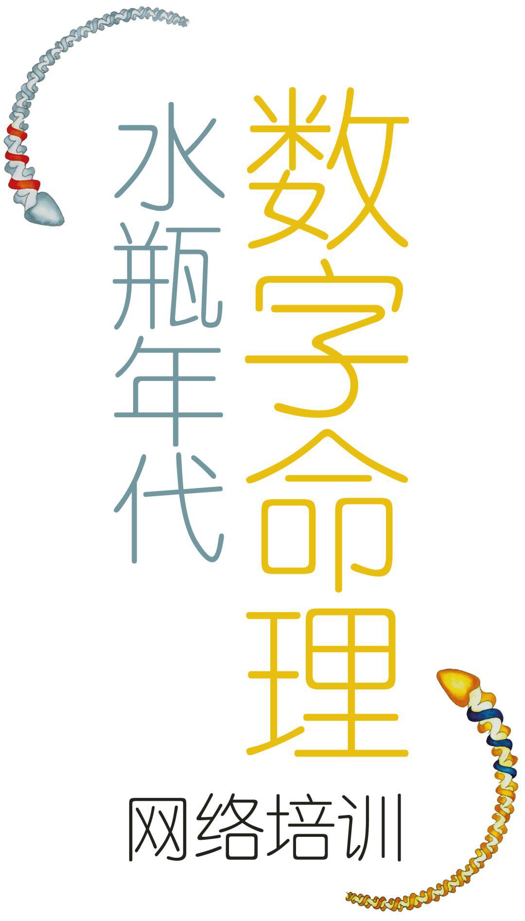 什么是水瓶年代数字命理?