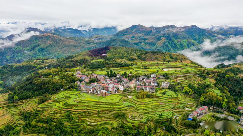 永嘉茗岙万亩梯田看云卷云舒你来了吗