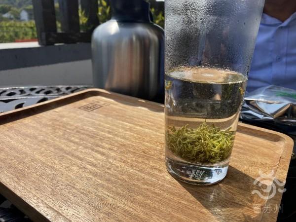 你知道吗?除了碧螺春,苏州还有这个"宝藏茶"——树山云泉茶