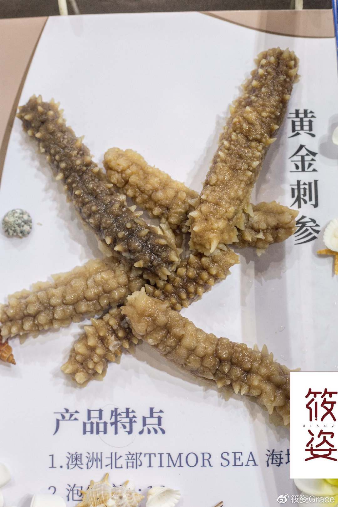 筱姿澳洲黄金刺参