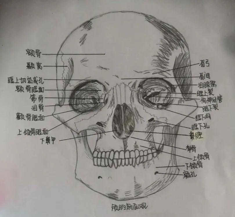 超炫酷or好吓人?这个班的课堂笔记太不一样了