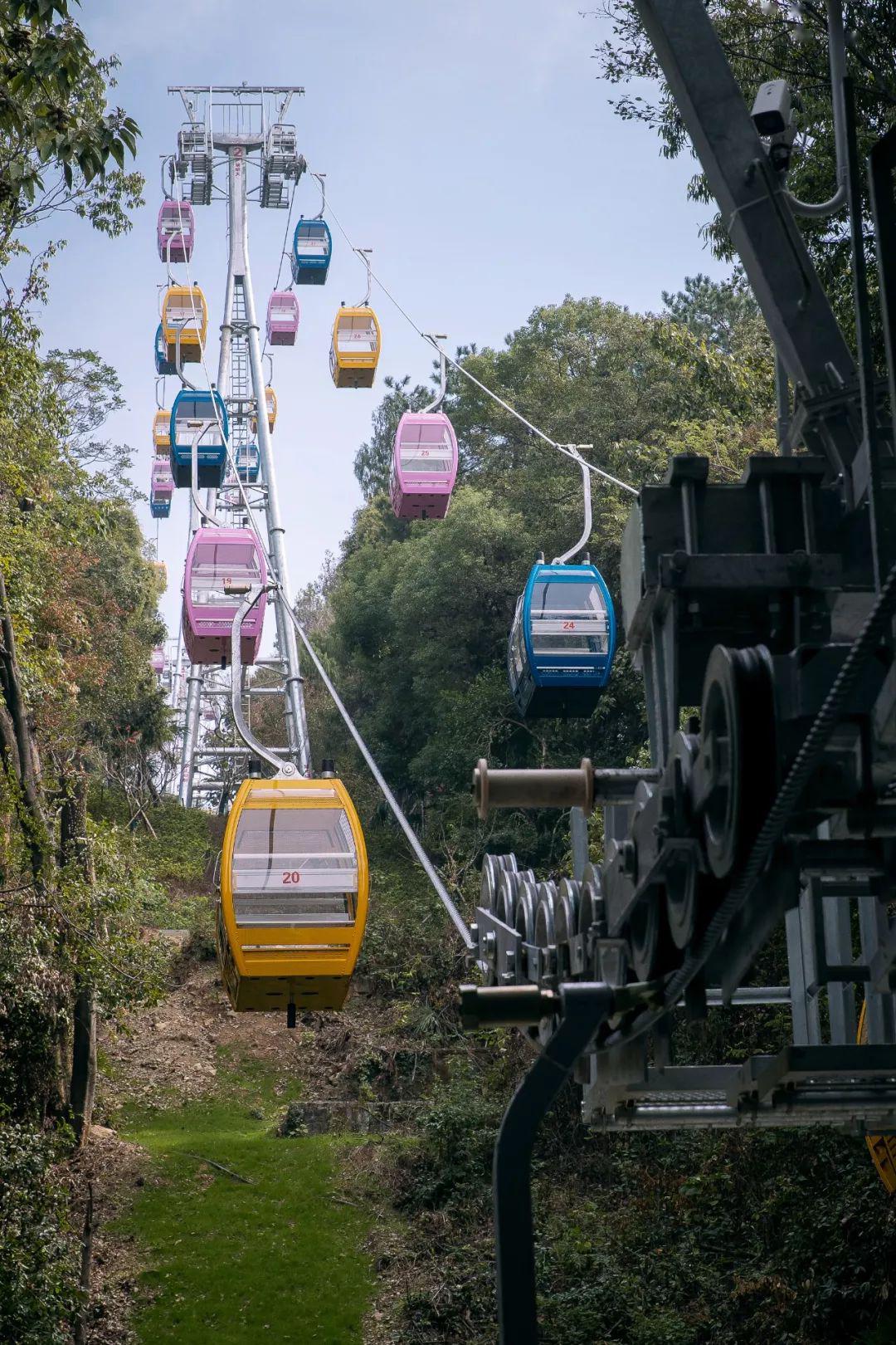 兄弟伙长沙:岳麓山的索道同样也是爬岳麓山的不二选择,半开放式的索道