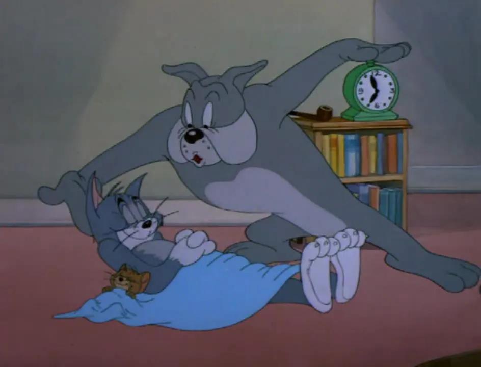 而醒来的杰瑞则帮斯派克合拢住嘴巴,一个美好的早晨,醒来的汤姆给杰瑞